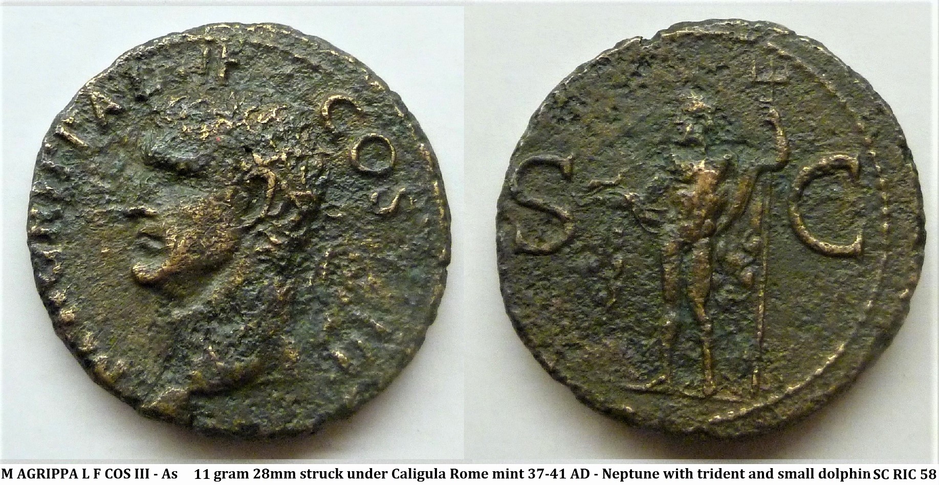 Agrippa neptune klein.jpg