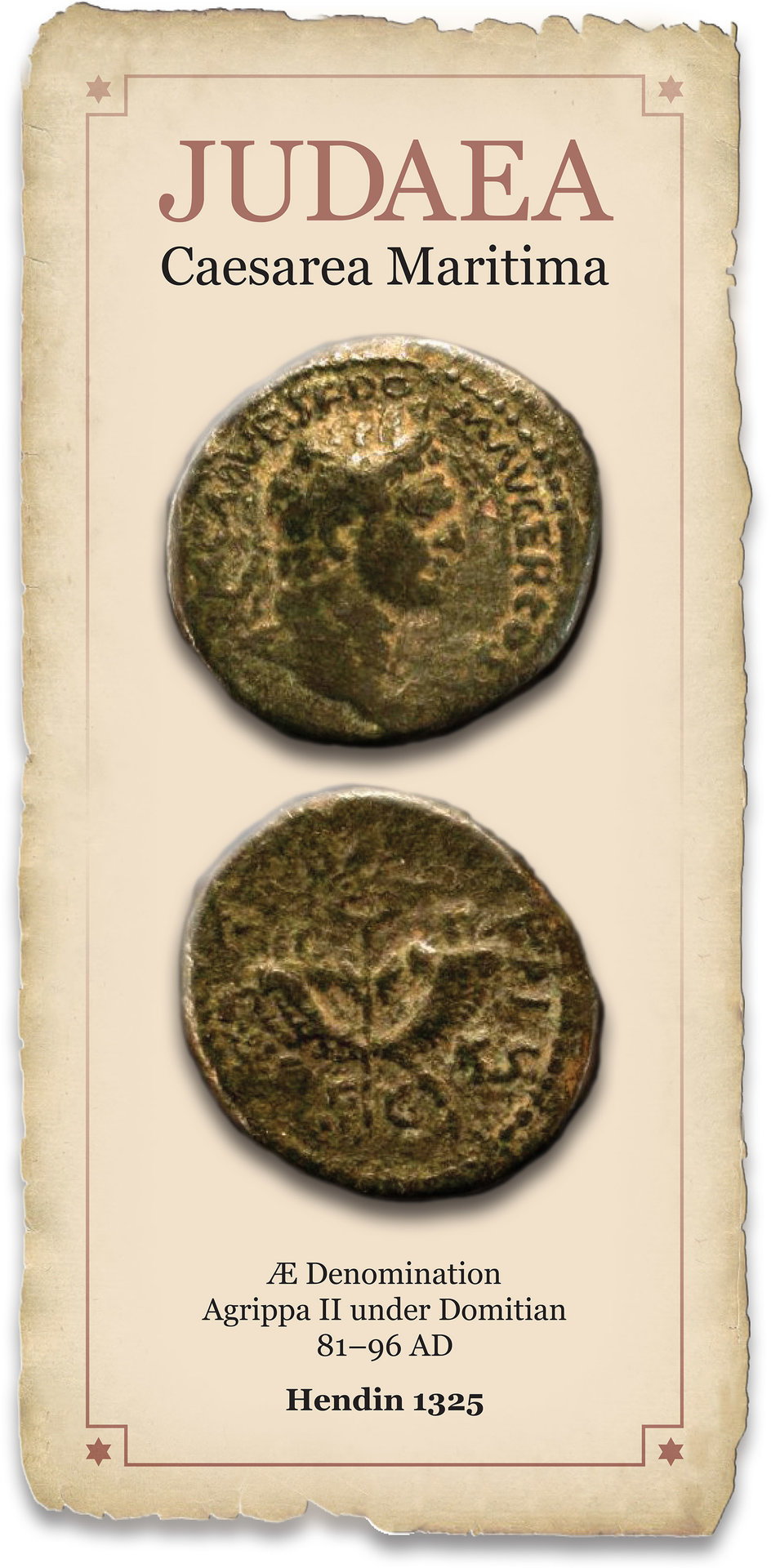 agrippa4.jpg