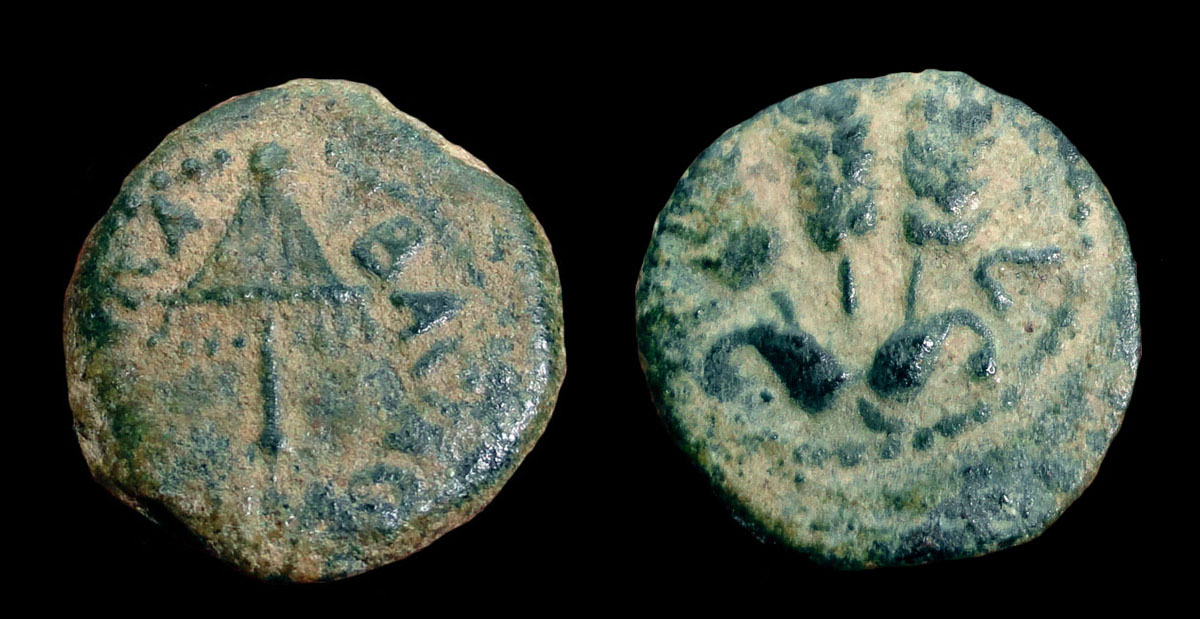 AGRIPPA_1.jpg