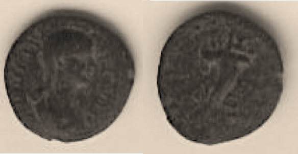 Agrippina Jr.png