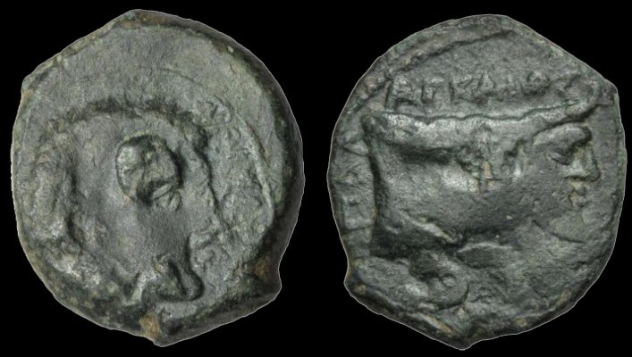 AgyrionHemilitron2.jpg