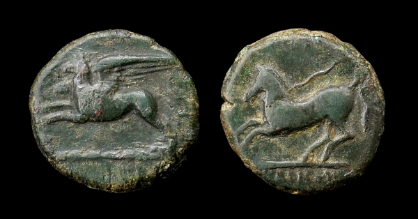 alaesa 6.jpg