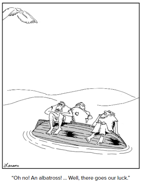 albatross.jpg