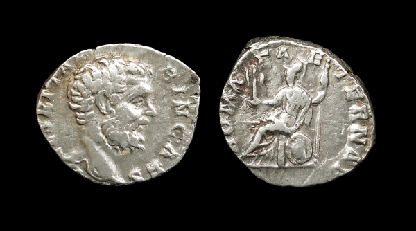 albinus 6.jpg