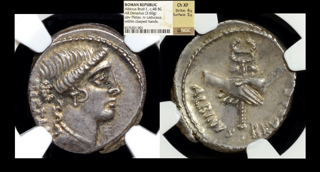 Albinus Bruti Denarius.png