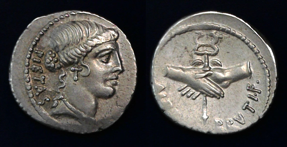 Albinus Bruti.jpg