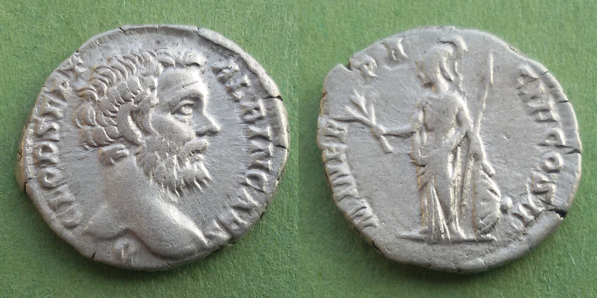 Albinus.jpg