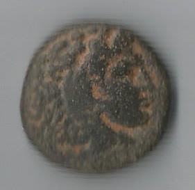 Alebro O.jpg