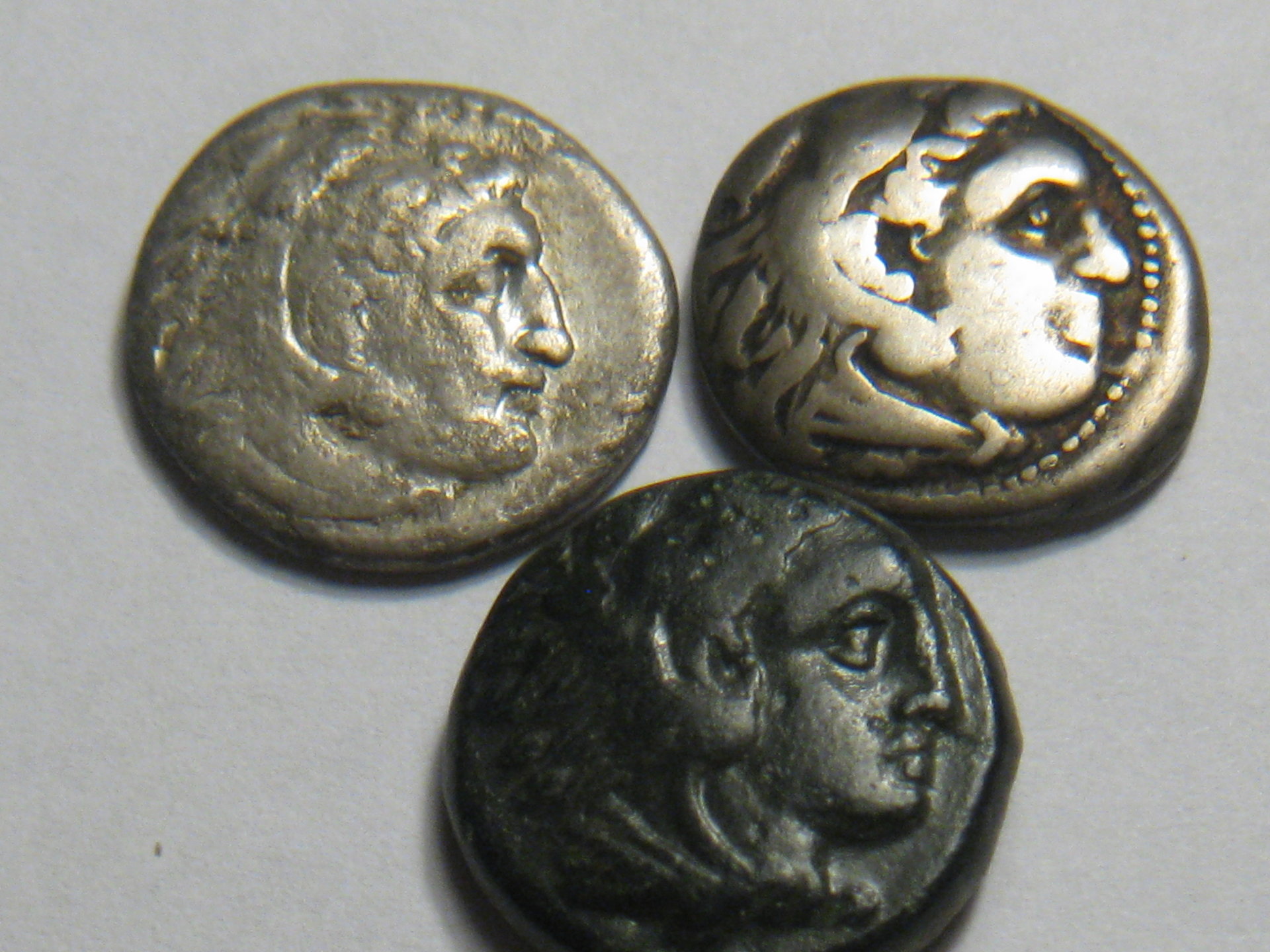 Alexander coins 001.JPG