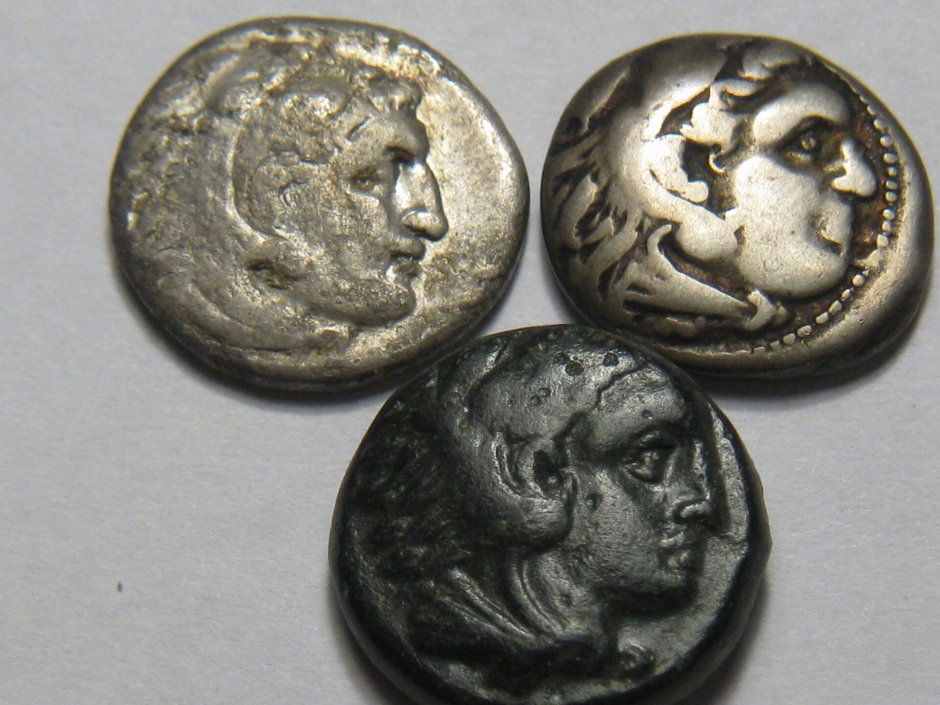 Alexander coins 002.JPG