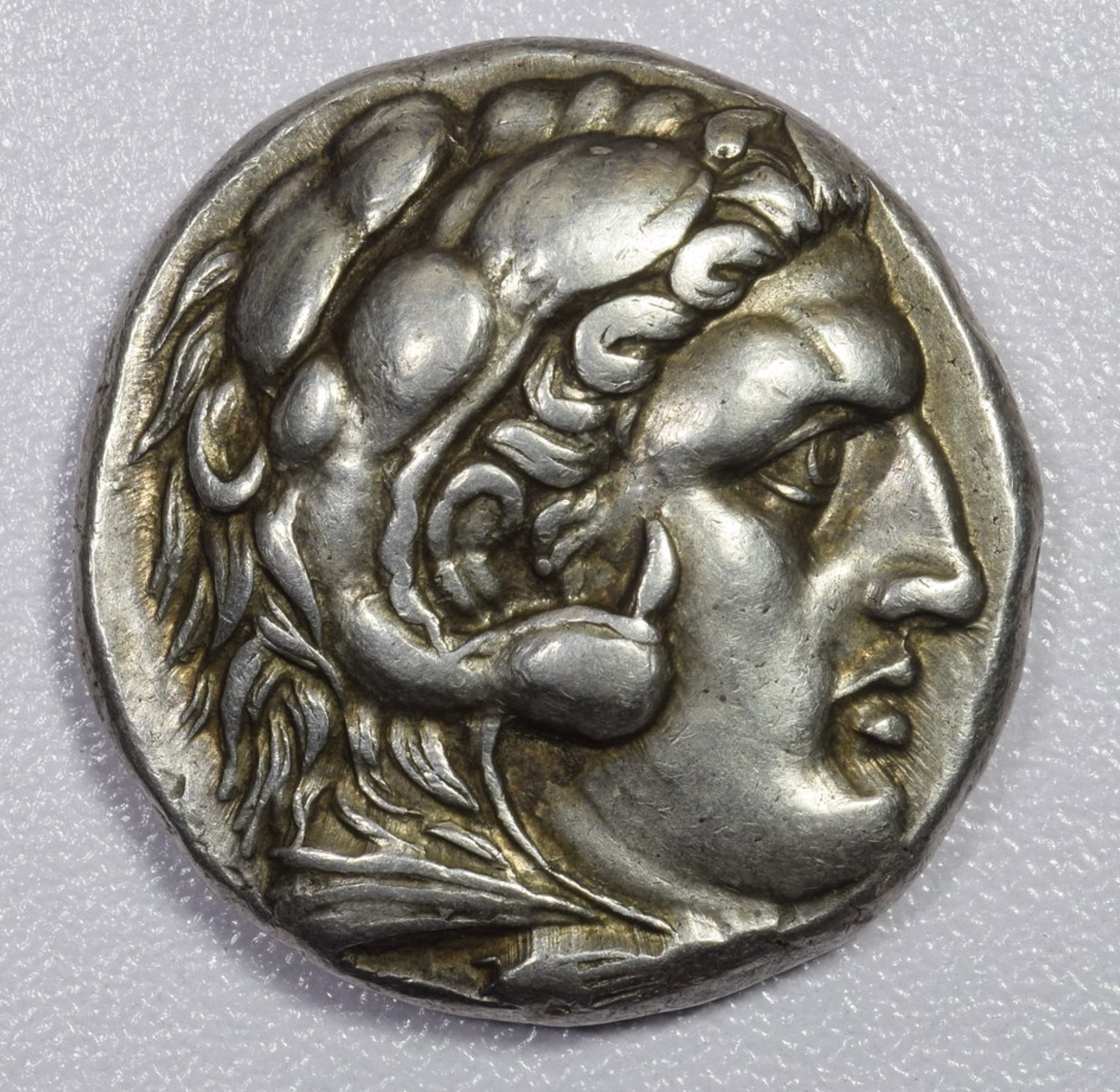 Alexander.jpeg