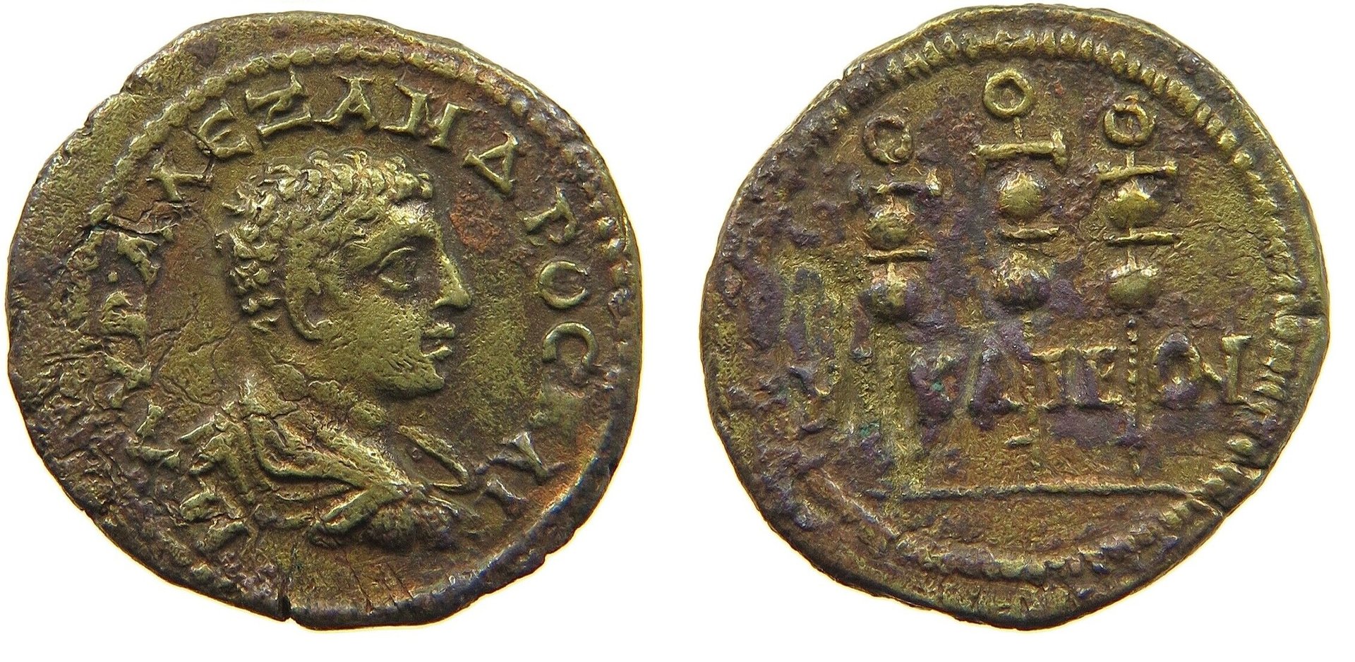 alexander.jpg