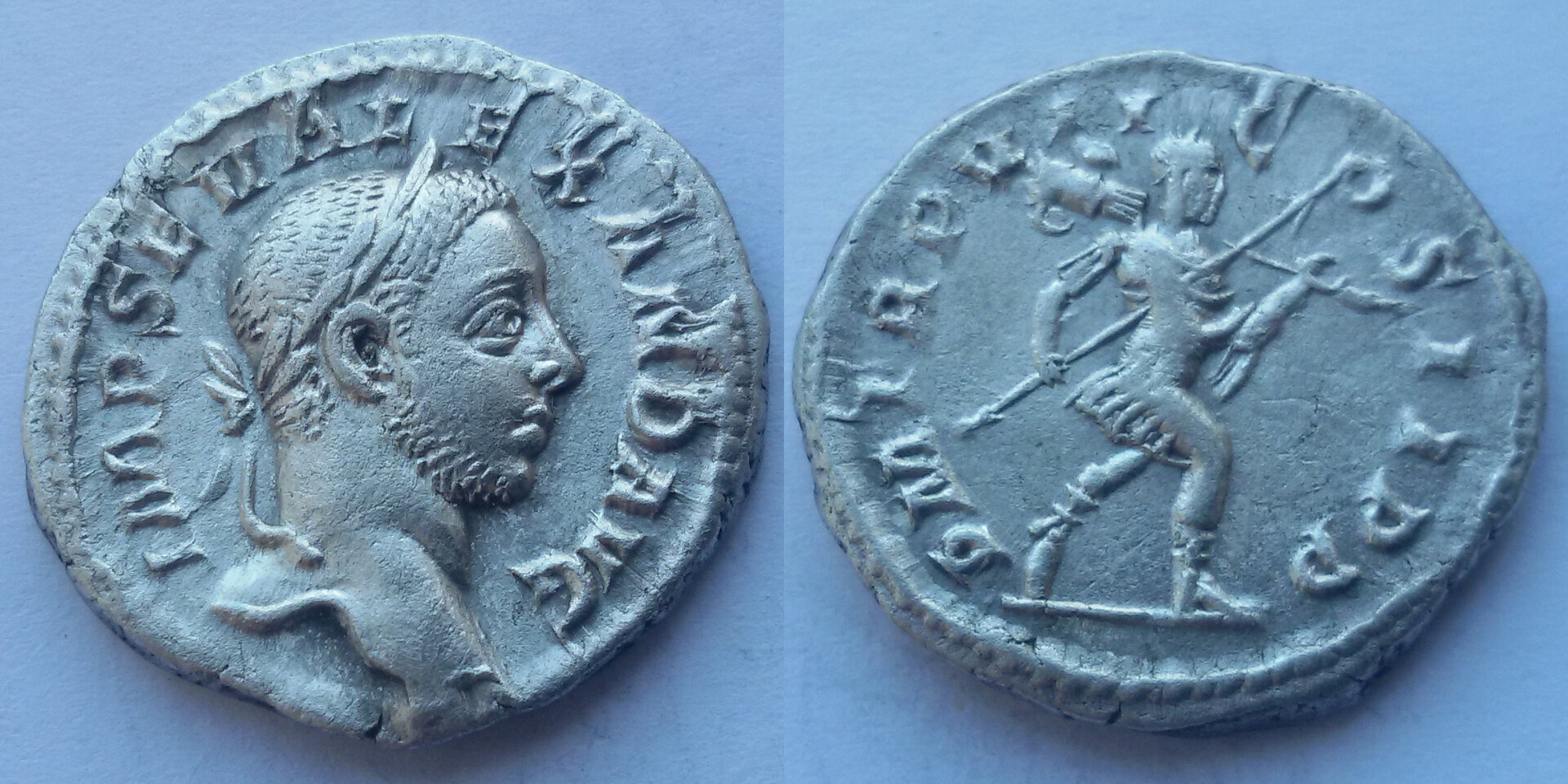 Alexander.jpg