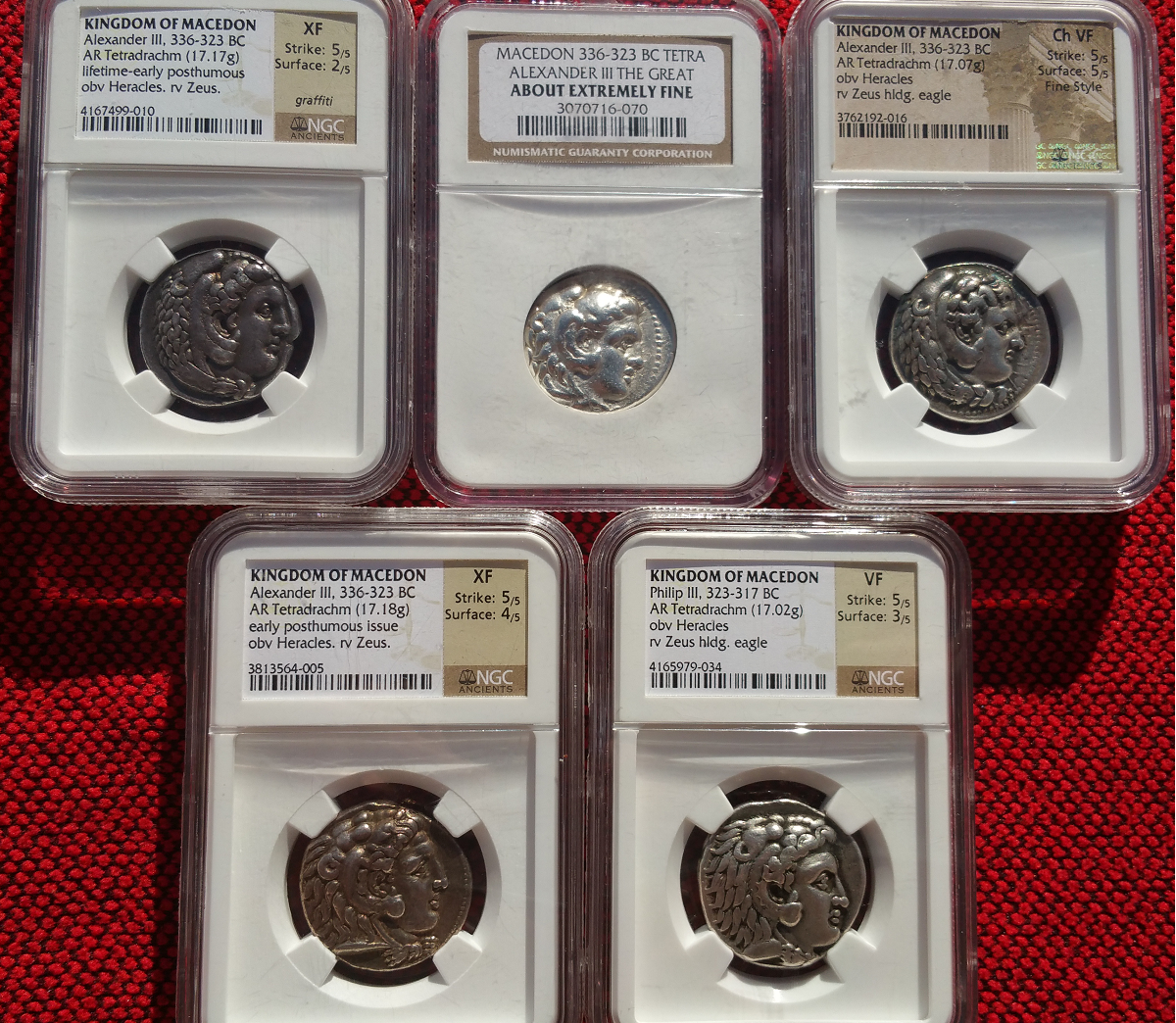 Alexander NGC Obvs.png