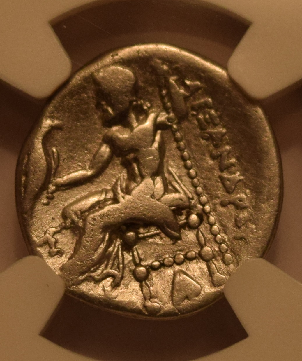Alexander Reverse.jpg