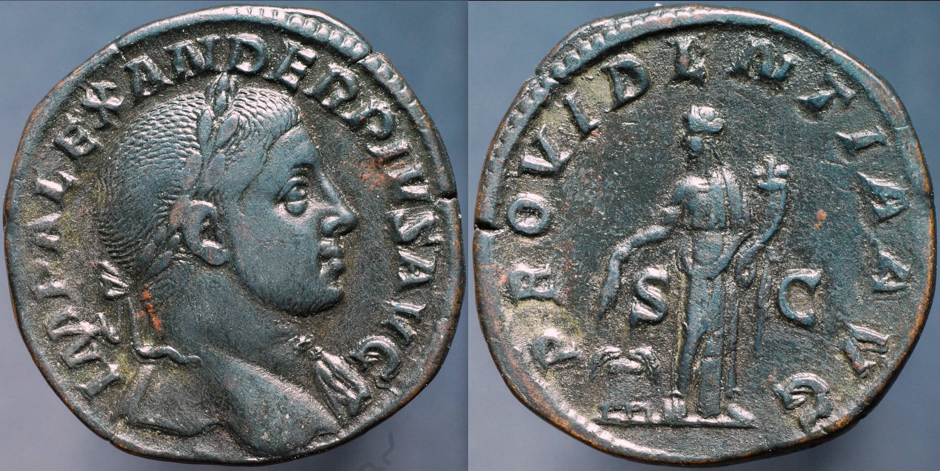 alexander_642.jpg