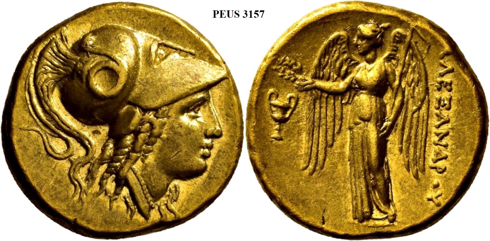 alexanderav4.jpg