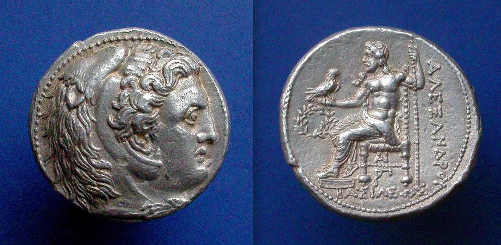 alexandert51.jpg