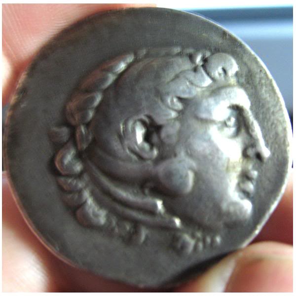 AlexanderTetradrachm-obv.jpg