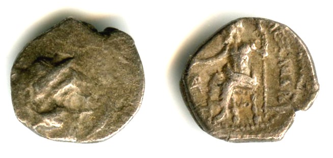 alexandre micro 3.jpg