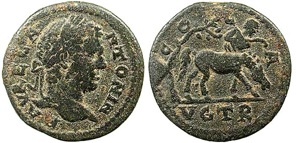 alexandreia_troas_caracalla_BellingerA284.jpg