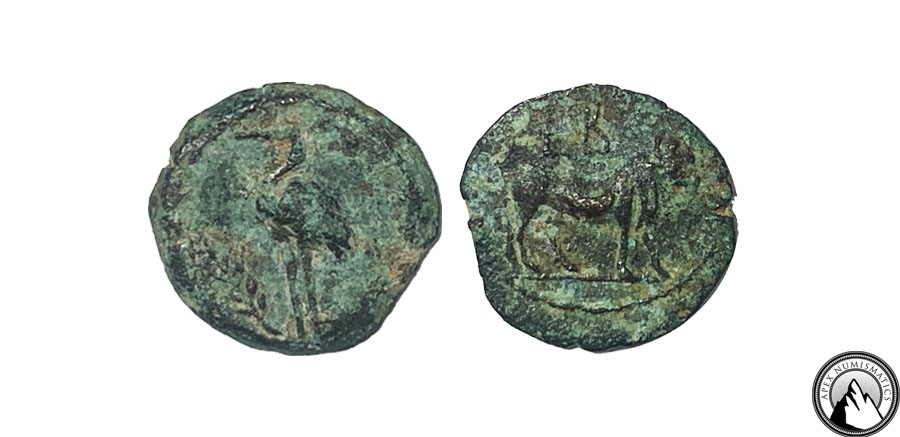 Alexandria AE Dichalkon Final.jpg