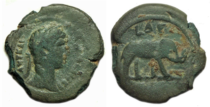 Alexandria Elephant.jpg
