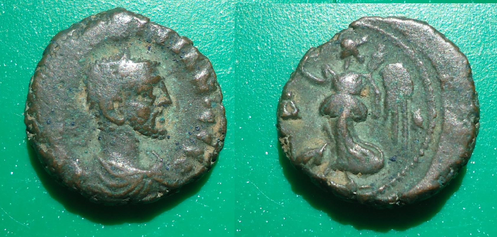Alexandria Tet Maximianus lot 2 Apr 2019 (2a).JPG