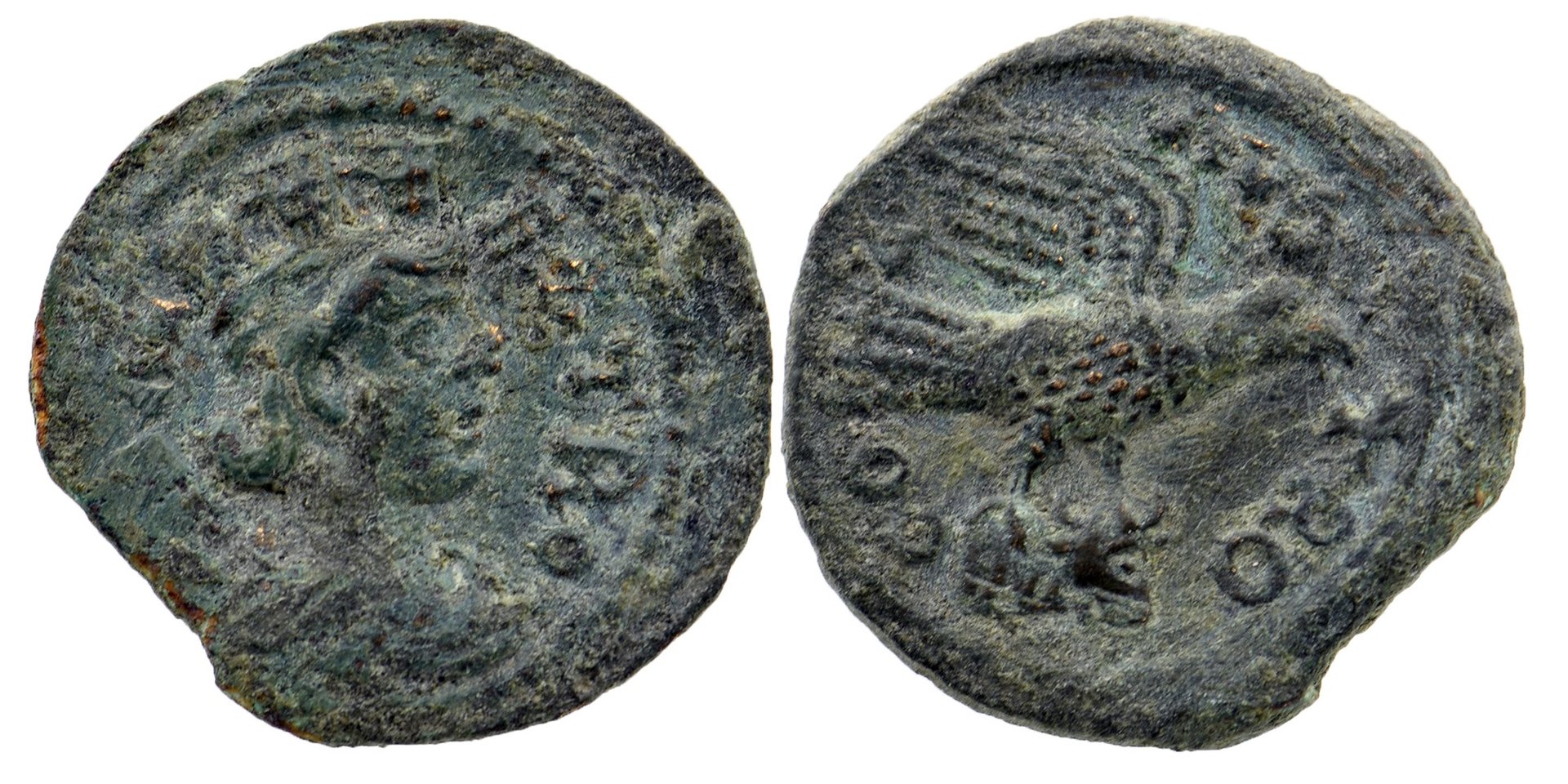 Alexandria Troas Eagle on Bucranium.jpg