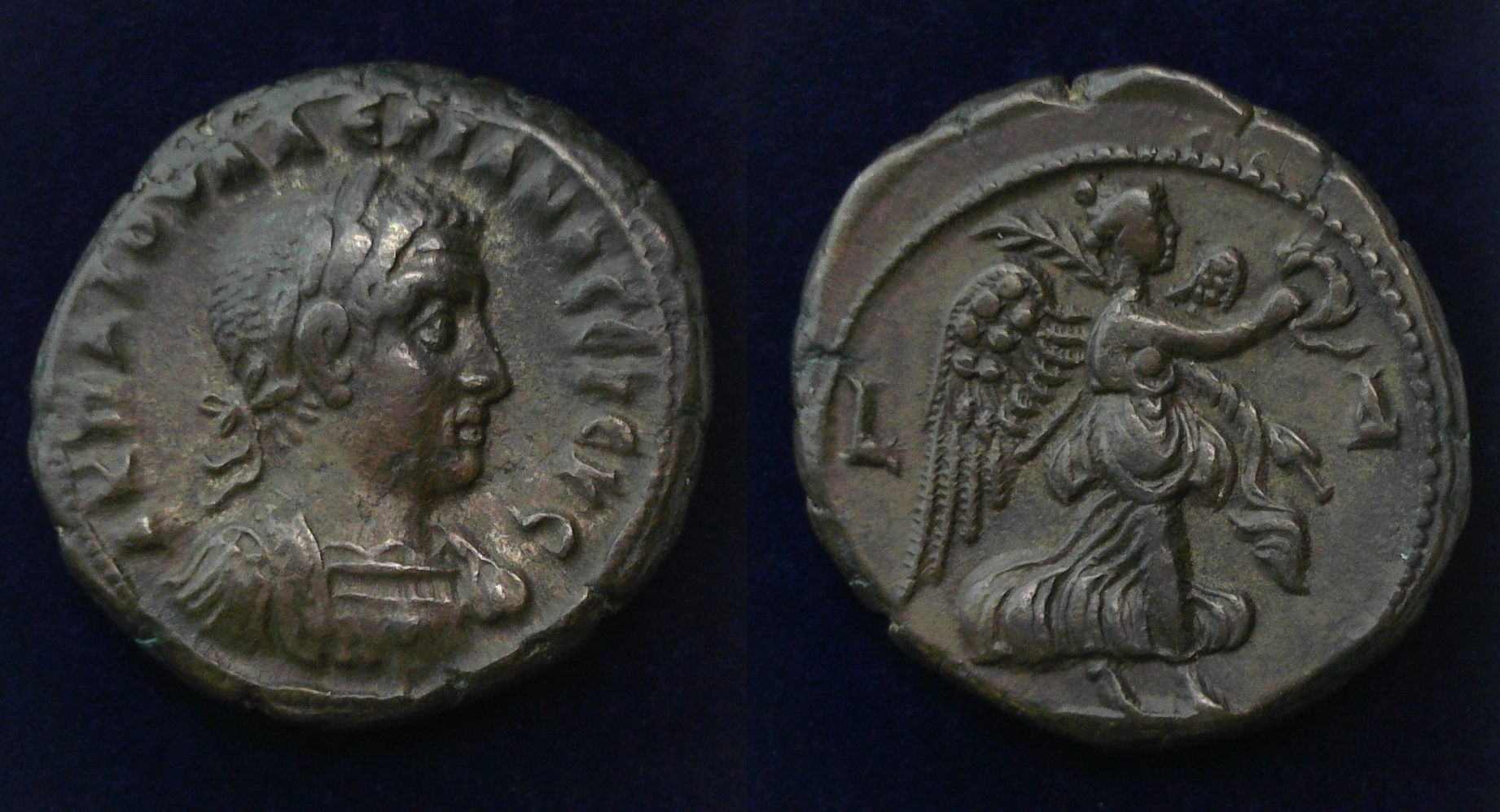 Alexandria Valerian RY=4.jpg