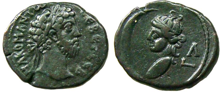 alexandria_commodus_Milne2686.jpg