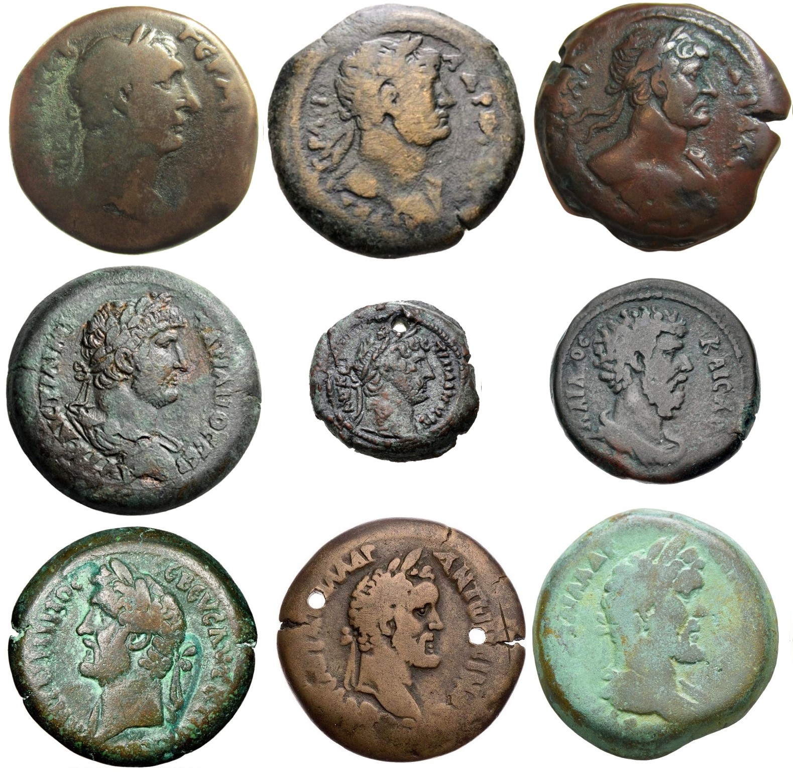 Alexandrian Drachms Collage X7 SOTC 16 Dec 2023 Obv.jpg