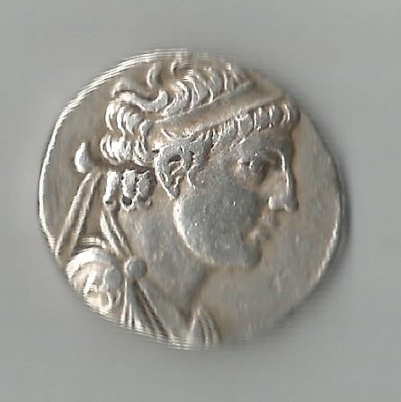AlexBassil O 001.jpg