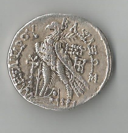 AlexBassil R 001.jpg