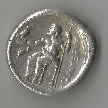 AlexDolphi R  Ampipholis.jpg