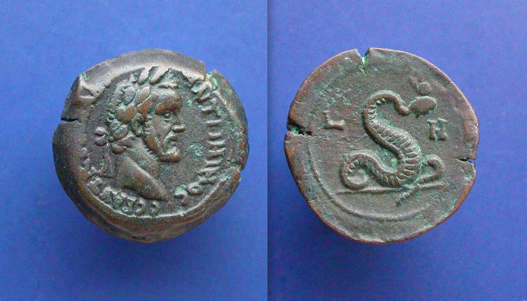 alexpius4.jpg