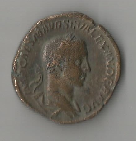 AlexSevSester  Ric4-424.jpg