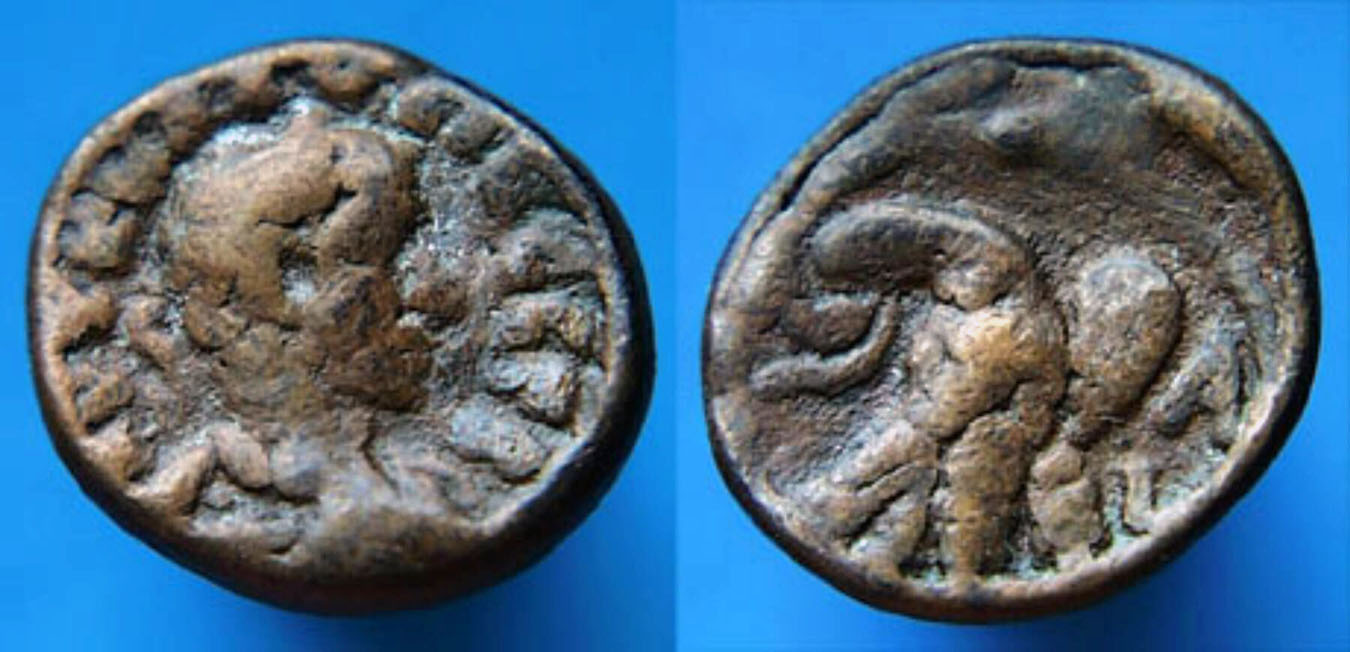 AlexTetraImit.jpg