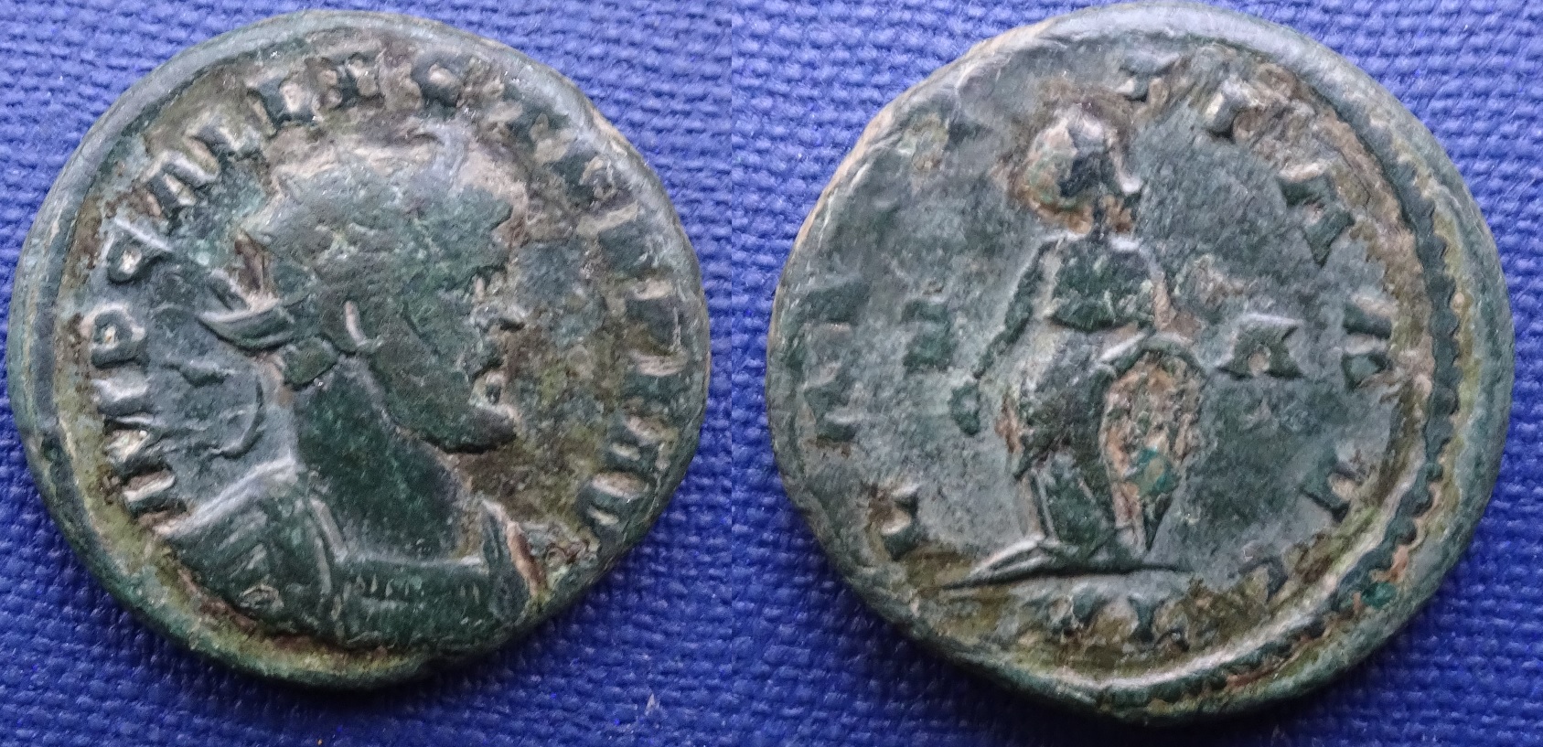 Allectus Laetitia.jpg