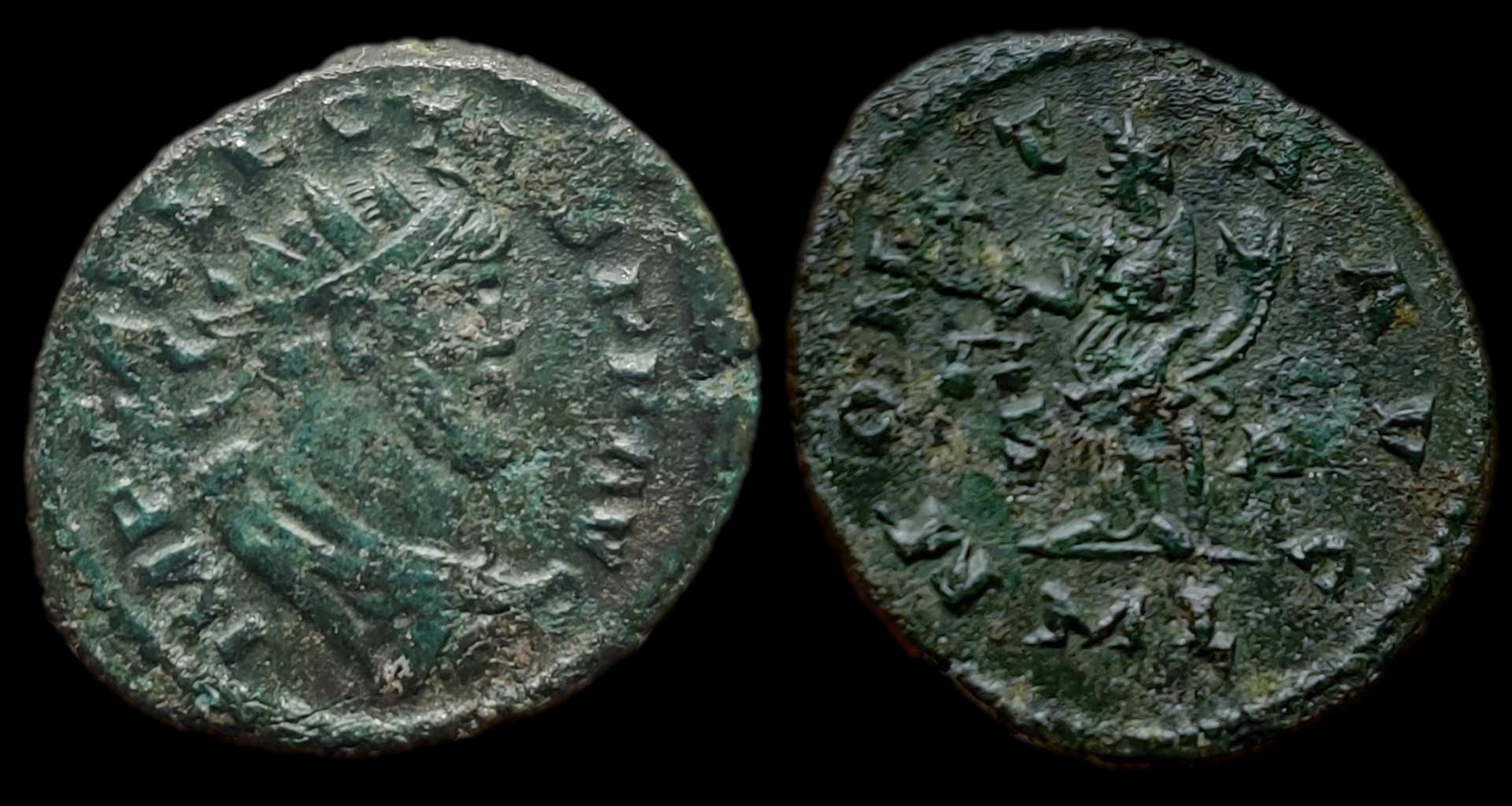 allectus moneta avg ml.png
