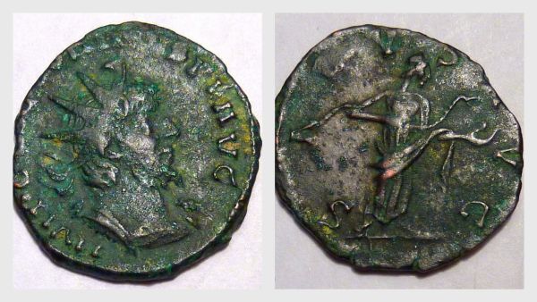 Allectus2_opt.jpg