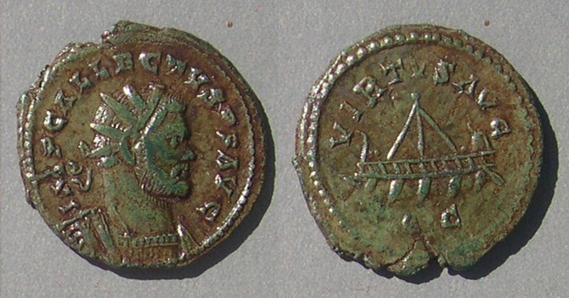 AllectusVIRTVSAVG800.jpg