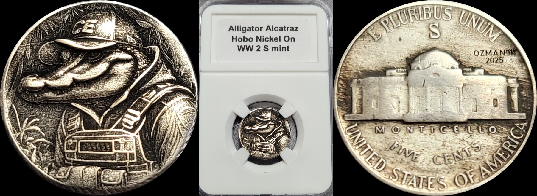 Alligator Alcatraz 1-horz.jpg