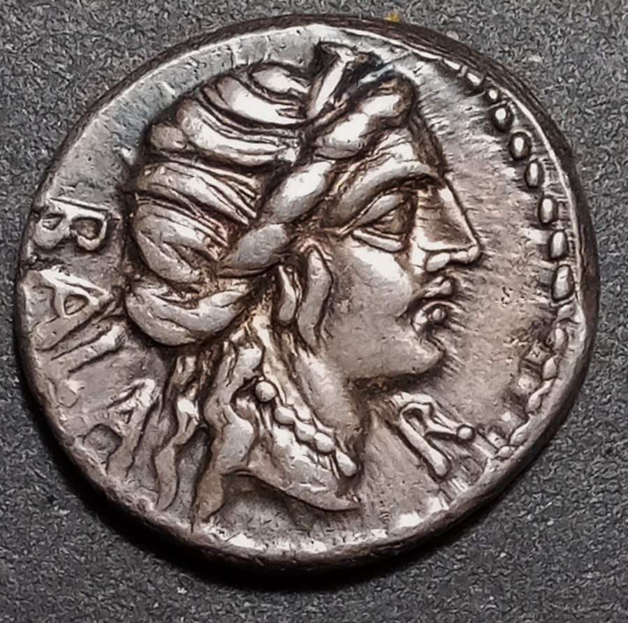 Allius Bala Obv 1.jpg