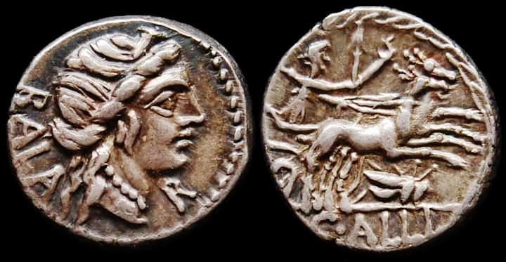 Allius Bala orig. jpg version.jpg