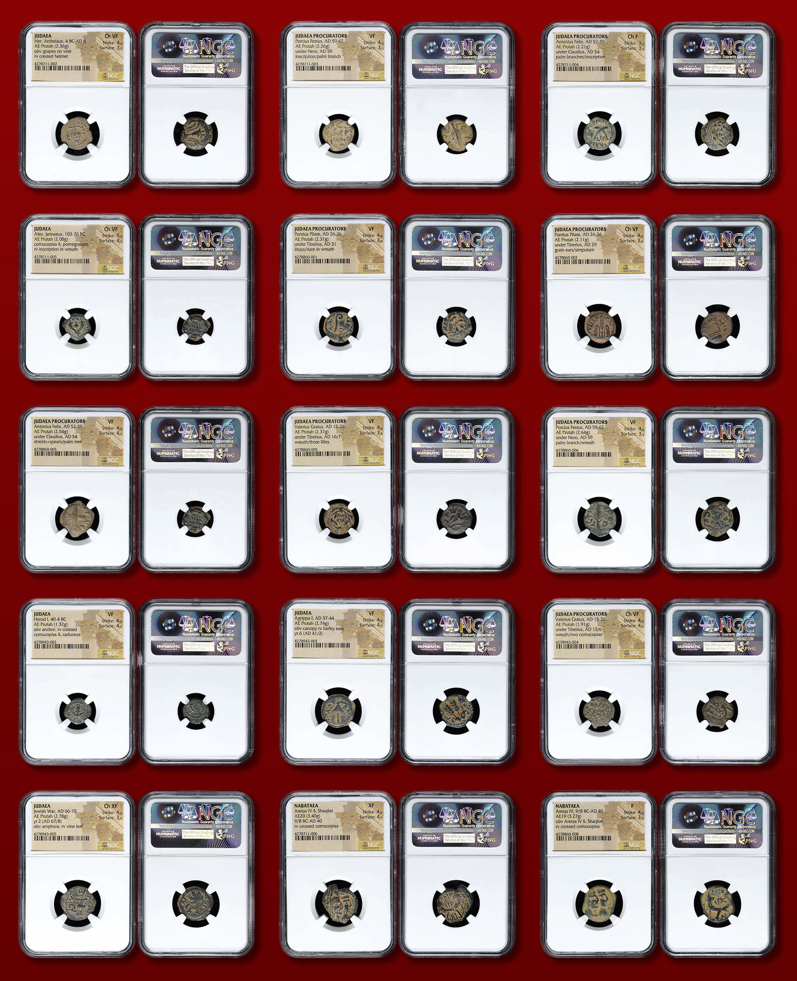 ALLPAGE.jpg