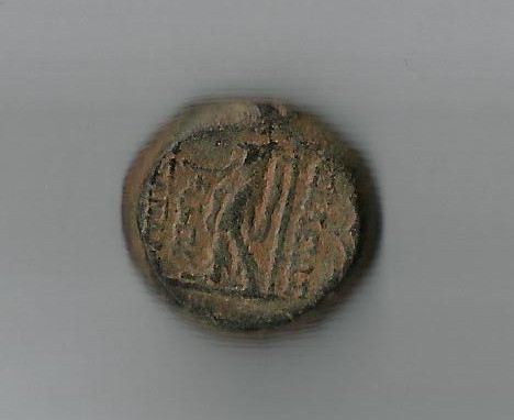 AlZebDionys.jpg