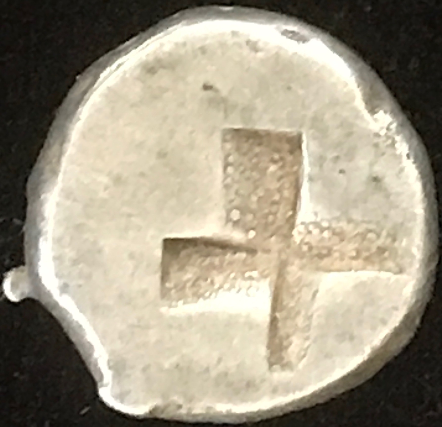 AM-0036rev.JPG