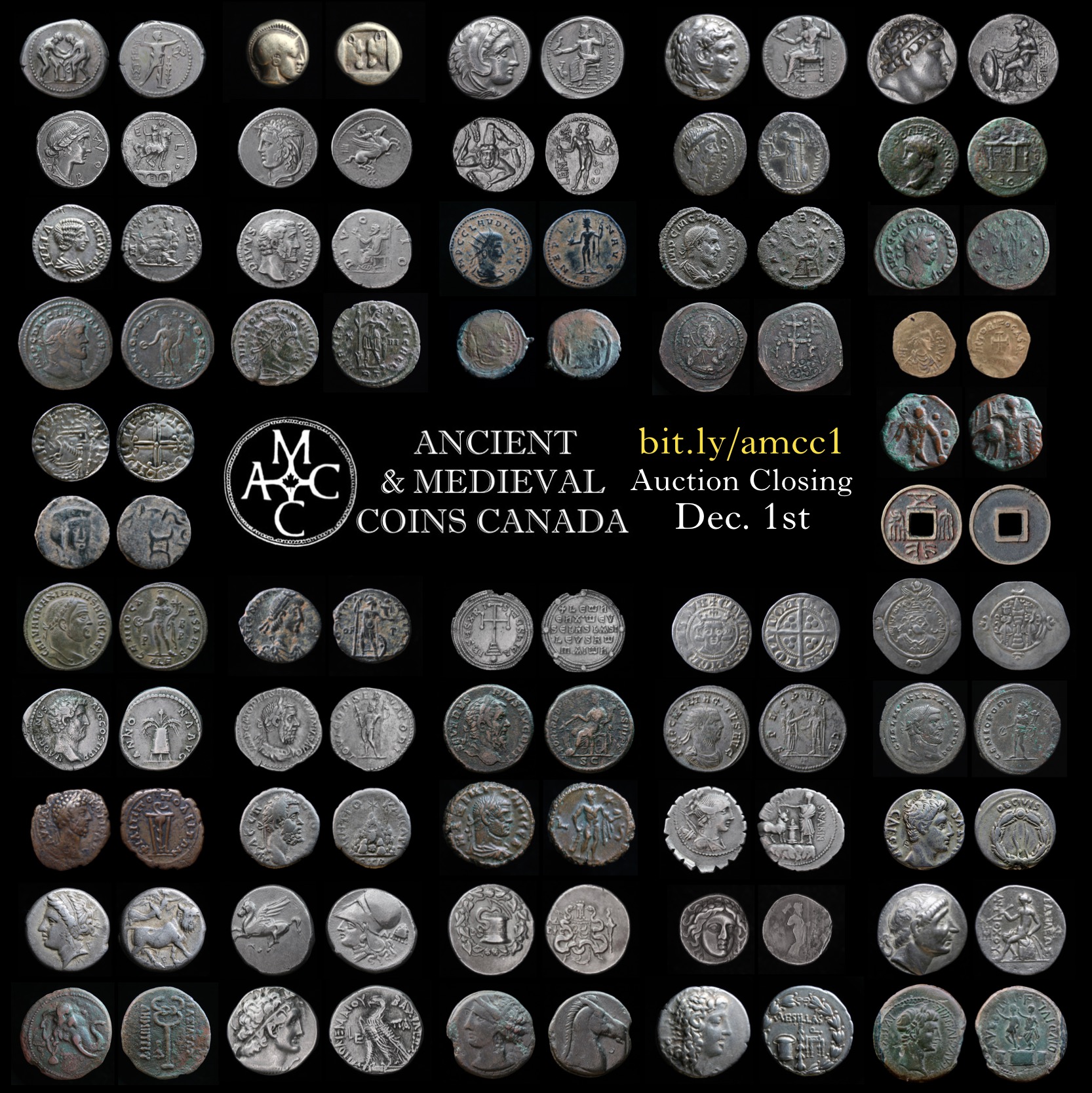AMCC1 grid.jpg