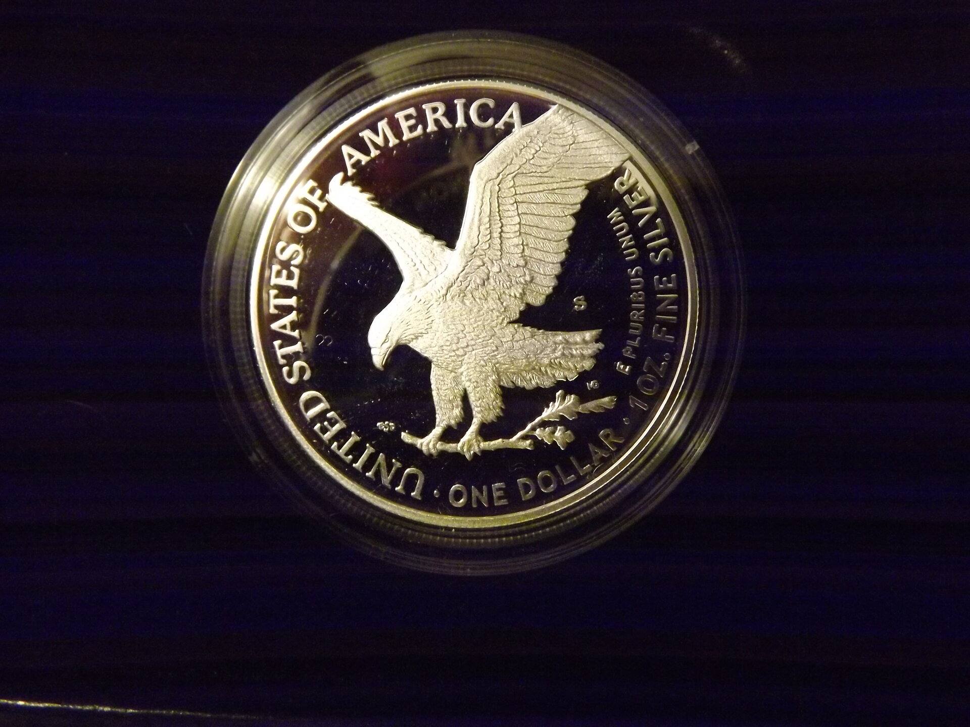 Amer. Eagle 2022 Reverse.JPG